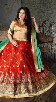 Picture of pakistani bridal lehenga choli bollywood ethnic wear we