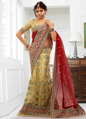 Picture of pakistani bridal lehenga choli,lehenga 5000chaniya chol