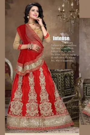 https://radhedesigner.com/images/thumbs/000/0007847_pakistani-bridal-lehenga-choliindian-designer-wedding-l_450.webp