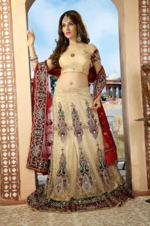 https://radhedesigner.com/images/thumbs/000/0007869_pakistani-bridal-lehenga-designs-styles-pictures-2013l_450.webp