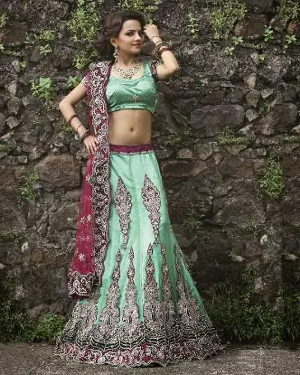 Picture of pakistani bridal lehenga in delhi,lehenga below 600chan