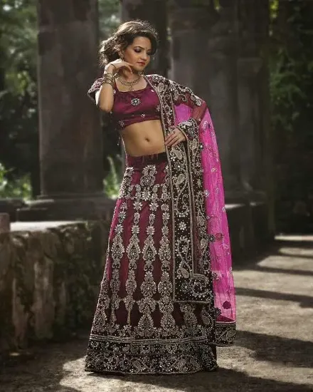 Picture of pakistani bridal lehenga kameez,6 panel lehengachaniya 