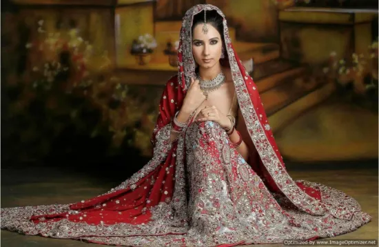 Picture of pakistani bridal lehenga online with beach dress,leheng