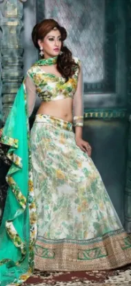 Picture of pakistani bridal lehenga online,3d lehenga onlinechani,