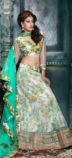 Picture of pakistani bridal lehenga online,3d lehenga onlinechani,