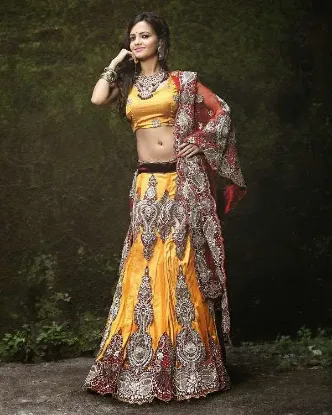 Picture of pakistani bridal lehenga photo 2024,lehenga 8 yearschan