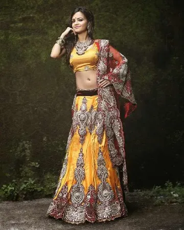 https://radhedesigner.com/images/thumbs/000/0007903_pakistani-bridal-lehenga-photo-2024lehenga-8-yearschan_450.webp