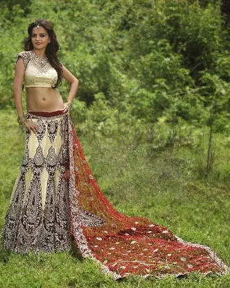 Picture of pakistani bridal lehenga pics 2024,lehenga for 8 year g