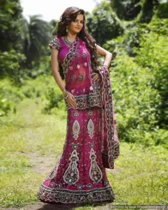 Picture of pakistani bridal lehenga uk,9 yards lehengachaniya chol