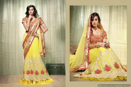 https://radhedesigner.com/images/thumbs/000/0007913_pakistani-bridal-lehenga-with-beach-dresslehenga-3chan_450.webp