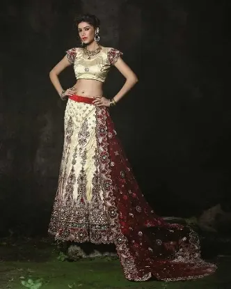 Picture of pakistani bridal lehengas 2024,9305 lehengachaniya chol