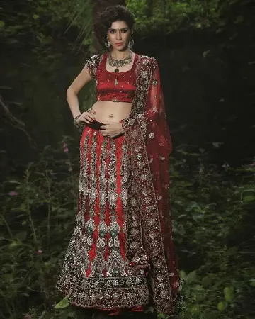 https://radhedesigner.com/images/thumbs/000/0007924_pakistani-bridal-lehengas-20249rasa-lehengachaniya-cho_450.webp