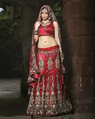 Picture of pakistani bridal red lehenga 2024,8 kali lehengachaniya