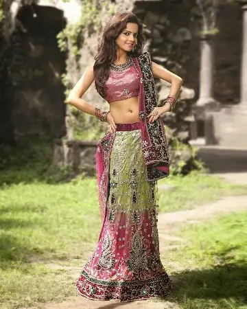 https://radhedesigner.com/images/thumbs/000/0007936_pakistani-bridal-wear-lehengavelvet-lehenga-cholichani_450.webp