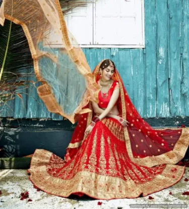 Picture of pakistani bridal wedding lehenga choliindian designer l