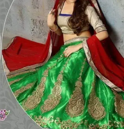 https://radhedesigner.com/images/thumbs/000/0007941_pakistani-bridal-wedding-wear-lehenga-choli-indian-des_450.webp