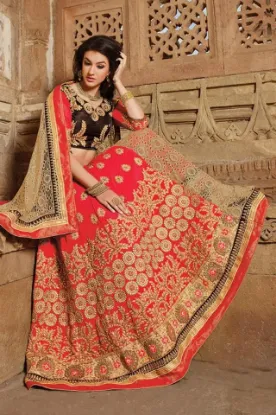 Picture of pakistani bridal wedding wear lehenga choli indian desi