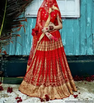 Picture of pakistani bridal wedding wear lehengaindian designer le