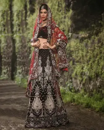 Picture of pakistani brides in lehenga,lehenga rs 600chaniya choli