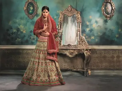 Picture of pakistani ethnic weddingbollywood lehenga choli net du,