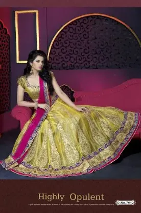 Picture of pakistani lehenga indian modest maxi gown designer sare