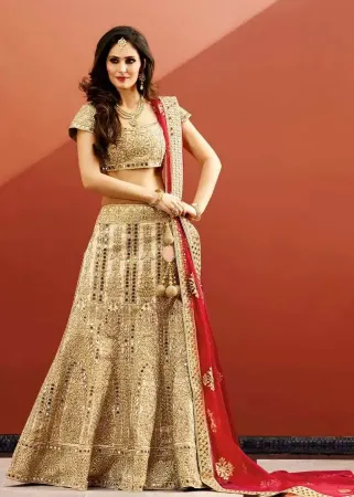 https://radhedesigner.com/images/thumbs/000/0007986_pakistani-lehenga-lehenga-indian-modest-maxi-gown-desig_450.webp