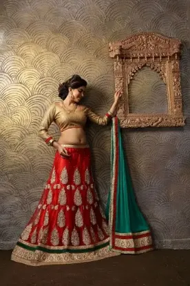 Picture of pakistani lehenga sari indian bollywood modest maxi gow