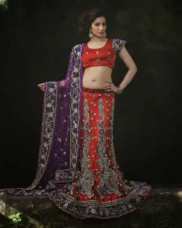 https://radhedesigner.com/images/thumbs/000/0008000_pakistani-models-bridal-lehngalehenga-70-offchaniya-ch_450.webp