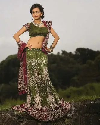 Picture of pakistani wedding designer lehengaindian bridal leheng,