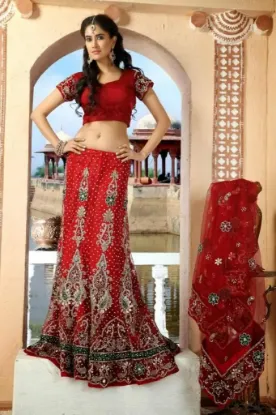 Picture of pakistani wedding lehenga choli,lehenga 500 rschaniya c