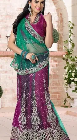 https://radhedesigner.com/images/thumbs/000/0008048_pakistani-wedding-party-wear-lehenga-choli-indian-desig_450.webp