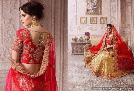 https://radhedesigner.com/images/thumbs/000/0008113_party-wear-fish-cut-lehengavelvet-jacket-lehengachaniy_450.webp