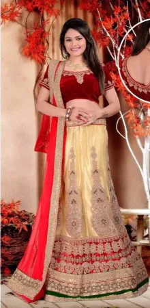 https://radhedesigner.com/images/thumbs/000/0008122_party-wear-lehenga-2013chaniya-cholicholilehengabell_450.webp