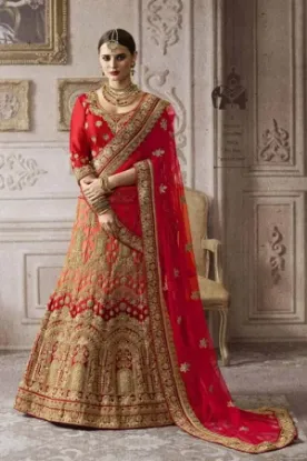 Picture of party wear lehenga choli,velvet lehenga blouse back des