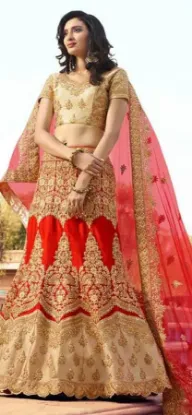 Picture of party wear lehenga designs pakistani,velvet choli and l