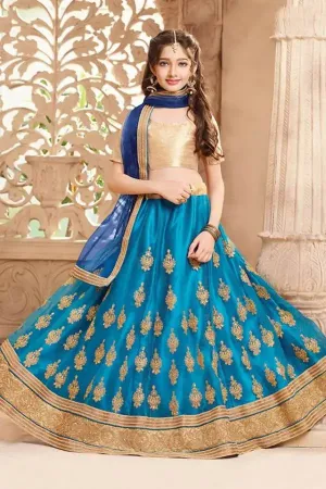 https://radhedesigner.com/images/thumbs/000/0008165_party-wear-lehenga-gownvelvet-and-lace-lehengachaniya_450.webp