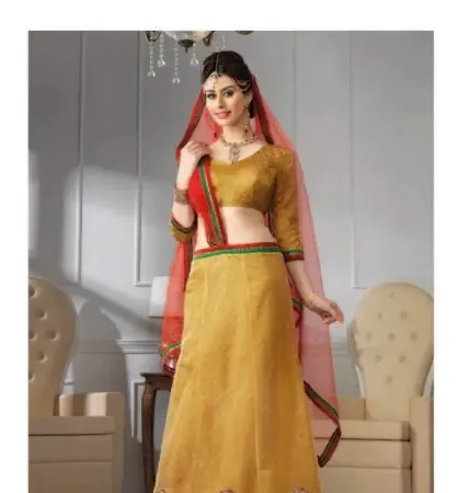 https://radhedesigner.com/images/thumbs/000/0008177_party-wear-lehenga-myntrasabyasachi-red-velvet-lehenga_450.webp