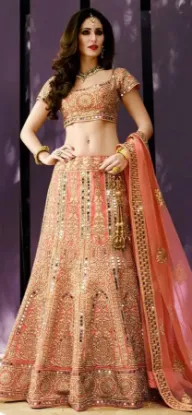 Picture of pink and green nylon net fancy border indian lehenga c,