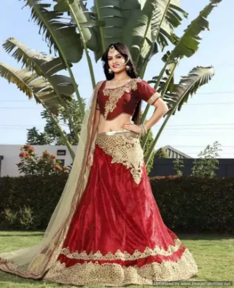 Picture of raw silk lehengachaniya choli,choli,lehenga,belly dance