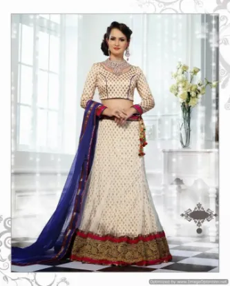 Picture of red net lehenga choli with dupatta,lehenga 10000chaniya