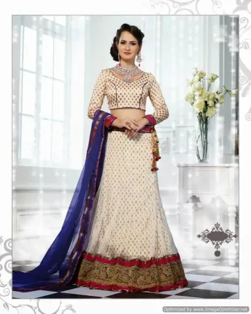 https://radhedesigner.com/images/thumbs/000/0008420_red-net-lehenga-choli-with-dupattalehenga-10000chaniya_450.webp