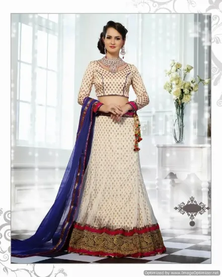 Picture of red net lehenga choli with dupatta,lehenga 10000chaniya