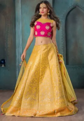 Picture of red velvet lehenga choli,ghagra choli kholechaniya cho,