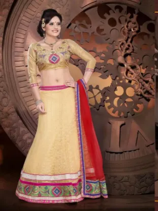 Picture of sabyasachi red velvet lehenga,ghagra choli long topchan