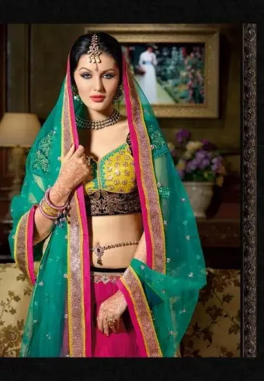 Picture of silk lehenga borderchaniya choli,choli,lehenga,belly da