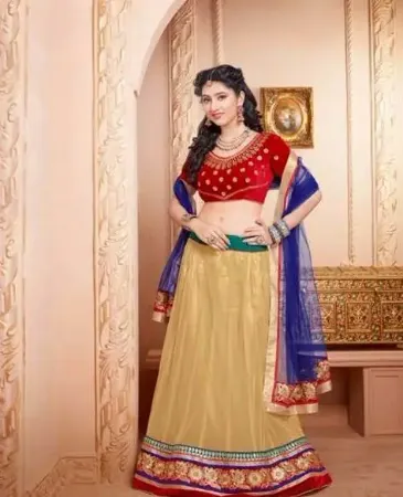 https://radhedesigner.com/images/thumbs/000/0008553_silk-lehenga-designschaniya-cholicholilehengabelly-d_450.webp