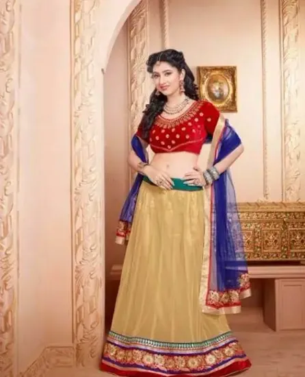 Picture of silk lehenga designschaniya choli,choli,lehenga,belly d