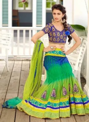 Picture of silk lehenga dresschaniya choli,choli,lehenga,belly dan