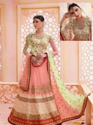 Picture of silk lehenga for bridechaniya choli,choli,lehenga,belly