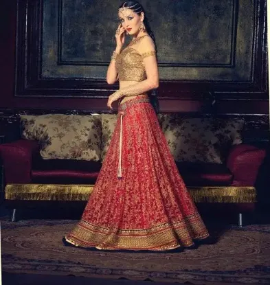 Picture of silk lehenga imageschaniya choli,choli,lehenga,belly da